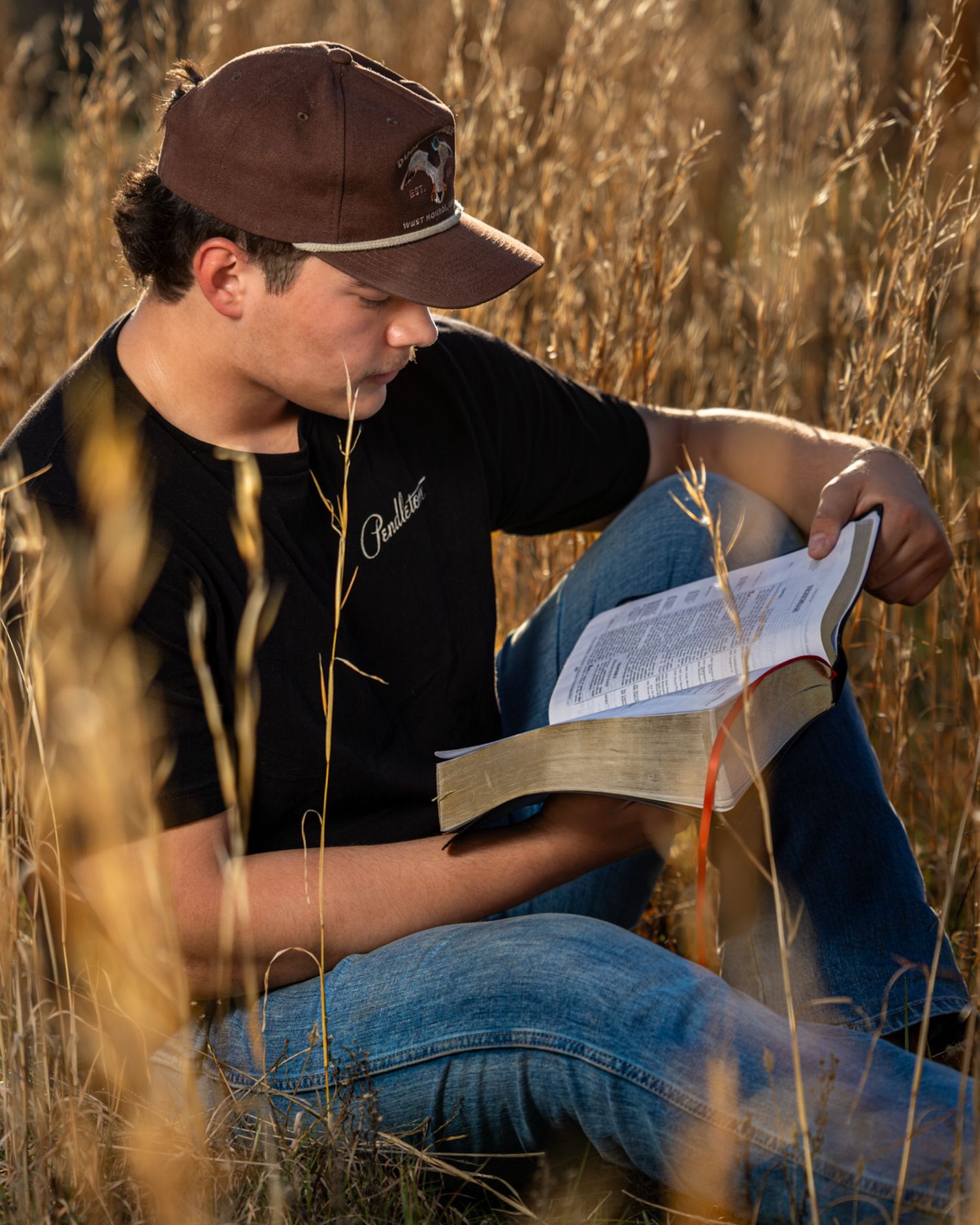 People reading books while sitting in tall golden grass during sunset creating a peaceful outdoor study scene.