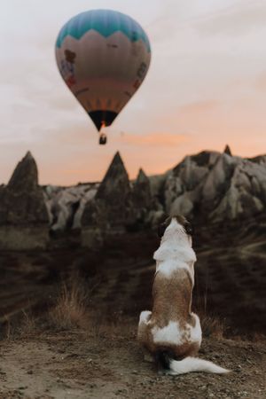 Imagination Valley, luchtballonnen Cappadocië, Göreme, zonsopkomst, paardrijden, Fotograaf, Westland, Adrianne Marlijne Fotografie, hond