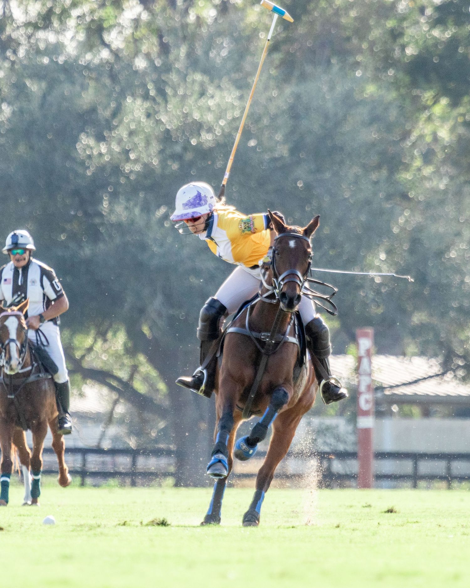 Polo