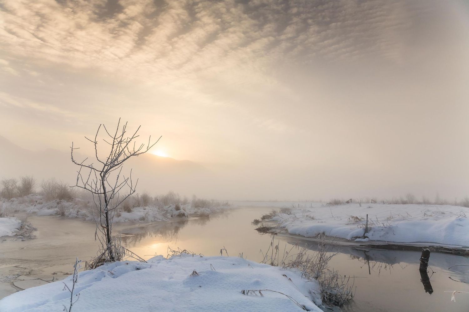 Pitt Lake, Pitt Meadows, British Columbia