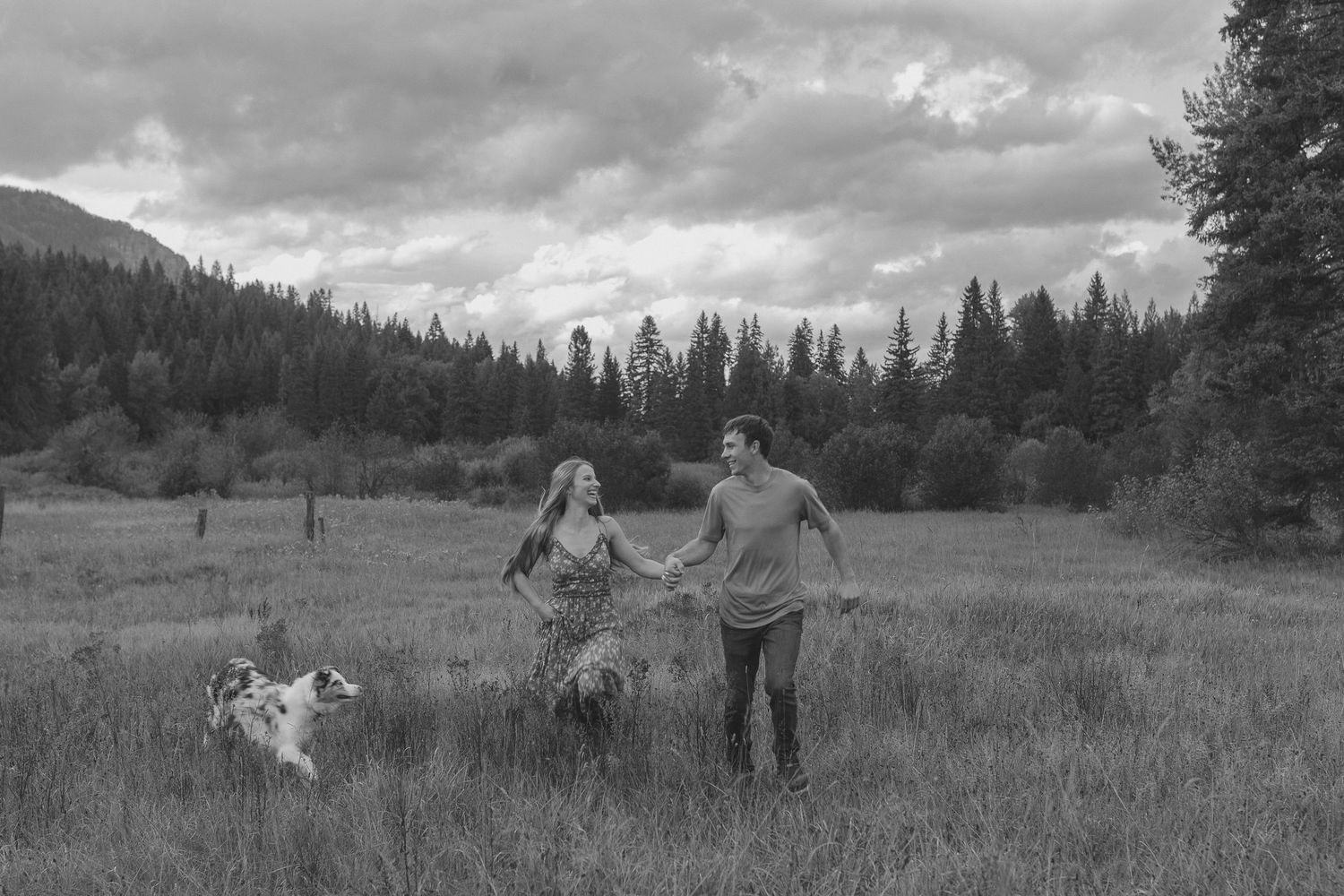 A couple plays with their dog in a mountain meadow under cloudy skies.