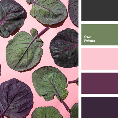 Purple, pink and green color pallet inspired by spinach or lettuce laying flat on a pink surface.