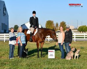 Equestrian award image in an outdoor field with horses and handlers on a sunny day.
