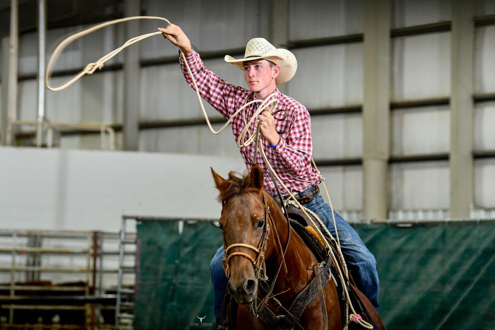 Horse and rider perform western riding in an indoor arena during competition.