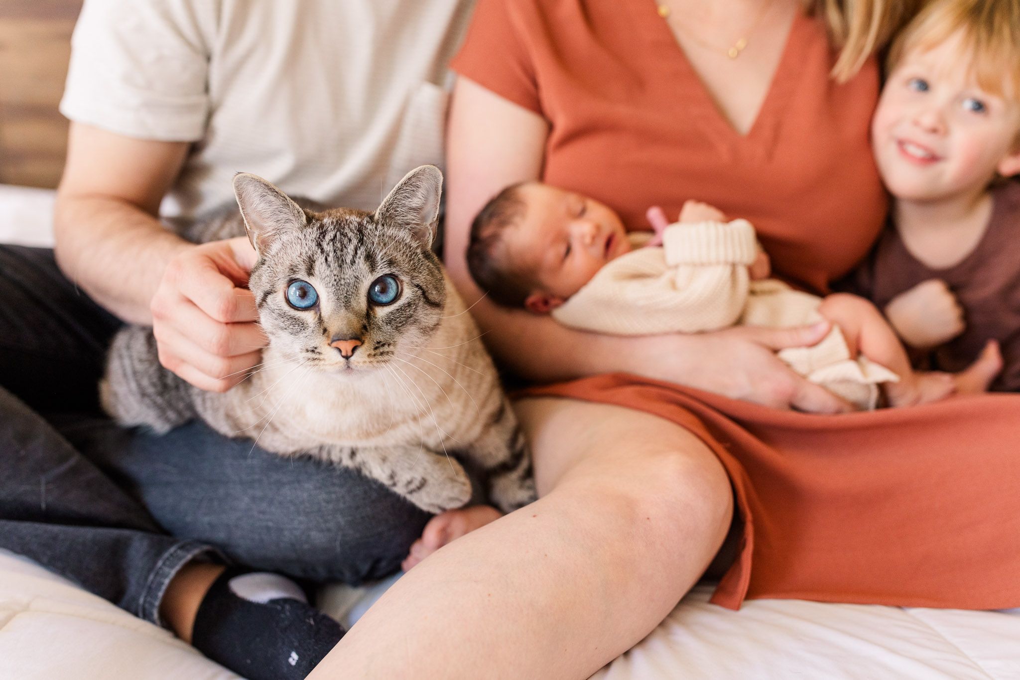 Richmond Virginia family and newborn photographer documents family snuggling new baby girl while cat looks directly at camera.