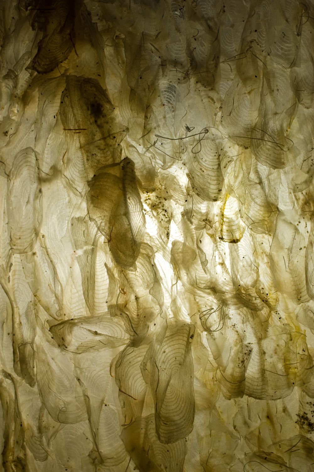 Abstract textural pattern of light and shadows on a rough beige surface creating an ethereal effect.