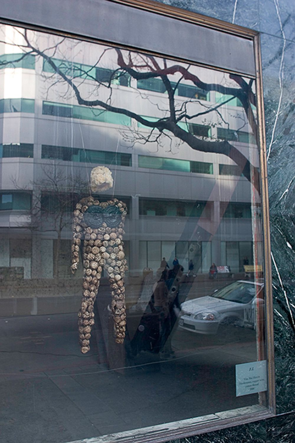 Reflective storefront window displaying an artistic installation with a suspended sculptural form.