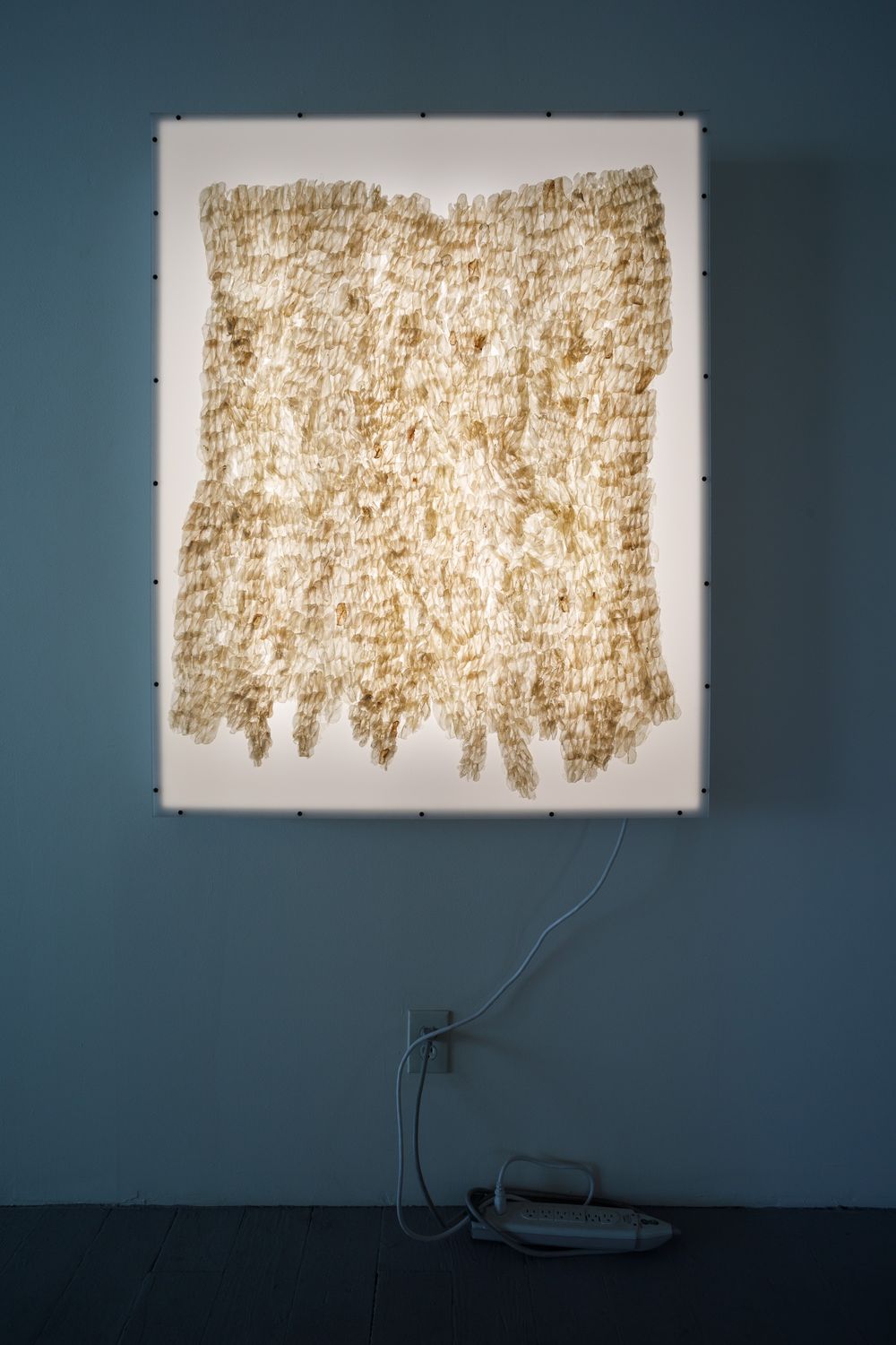 Illuminated light box artwork on teal wall displaying layered golden textured material with power cord below.