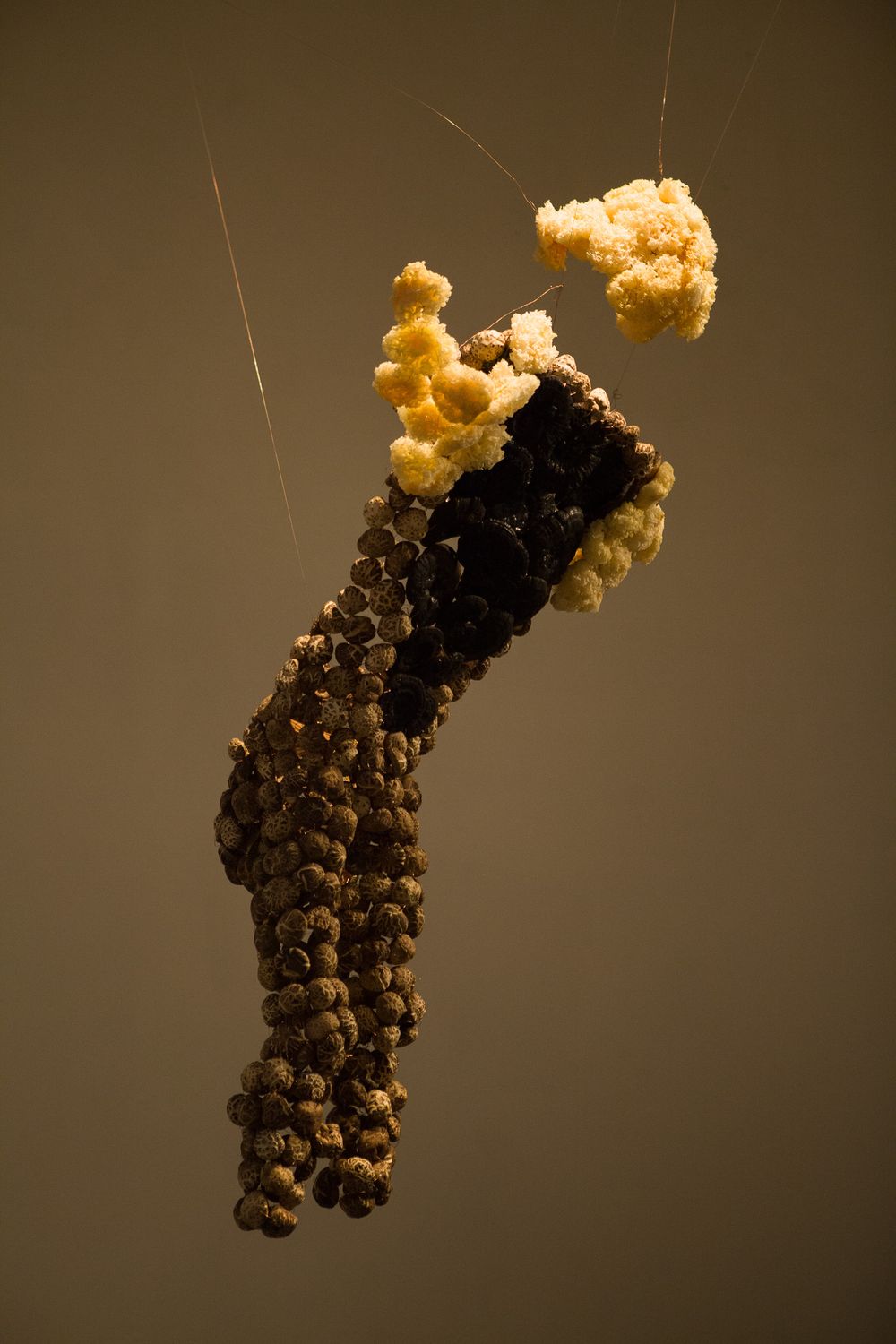 Close-up sequence of floating brown and beige organic shapes against dark background.