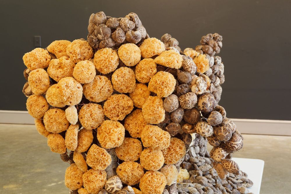 Sculptural installation made of clustered spherical forms in brown and beige tones.