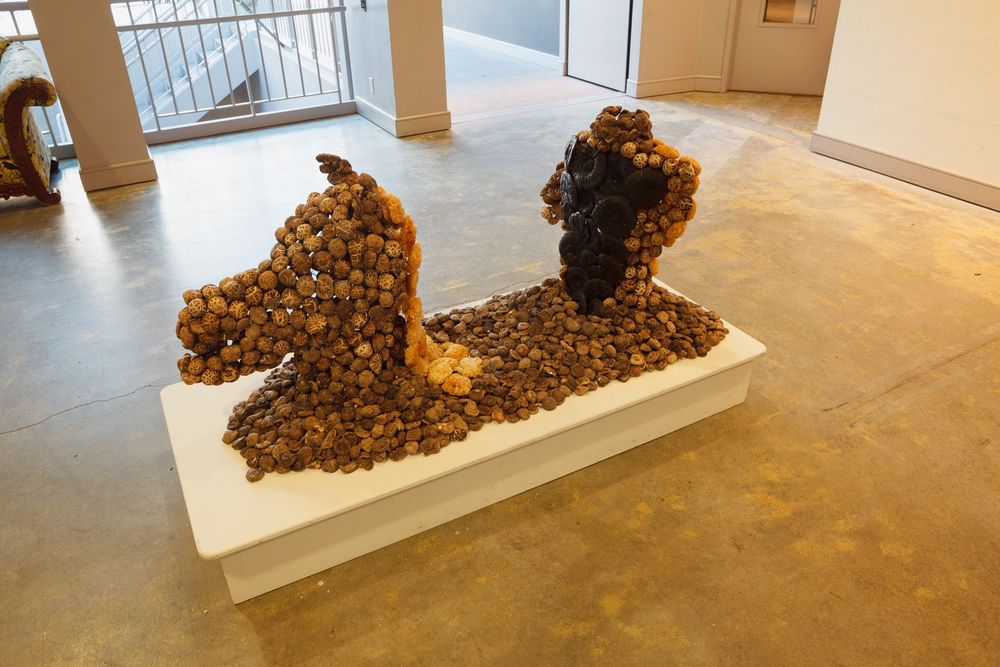 Art installation showing curved organic forms displayed on white pedestals in a gallery space.