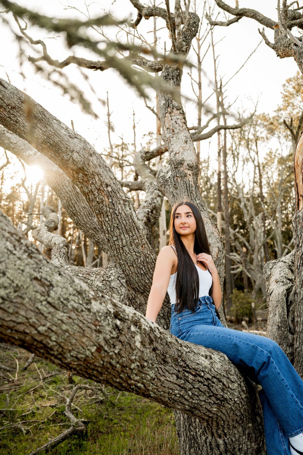 Natural outdoor portrait session with someone sitting on a curved tree branch at golden hour.