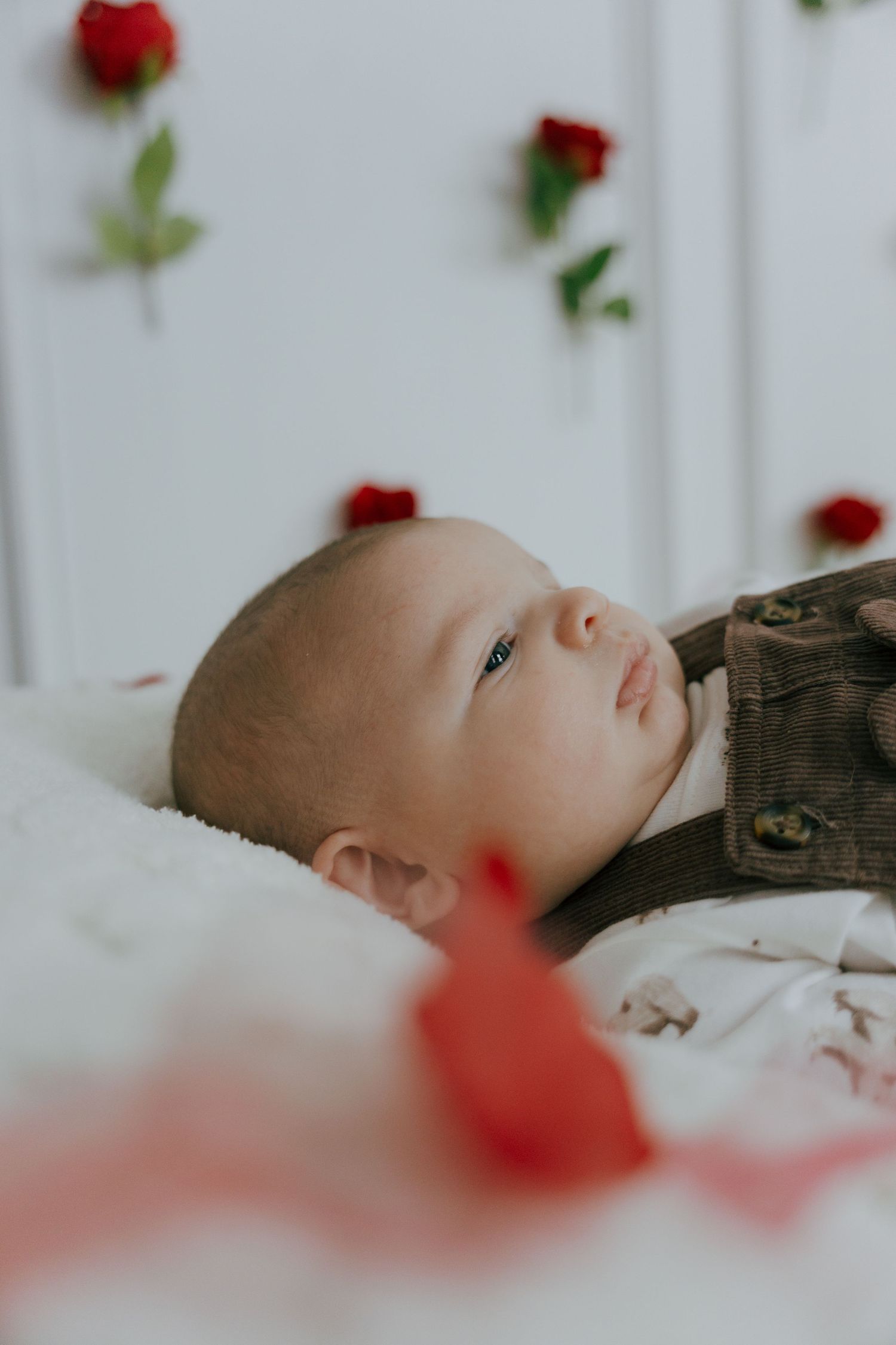 A sleeping baby lies peacefully on white bedding while red rose petals float softly in the foreground.