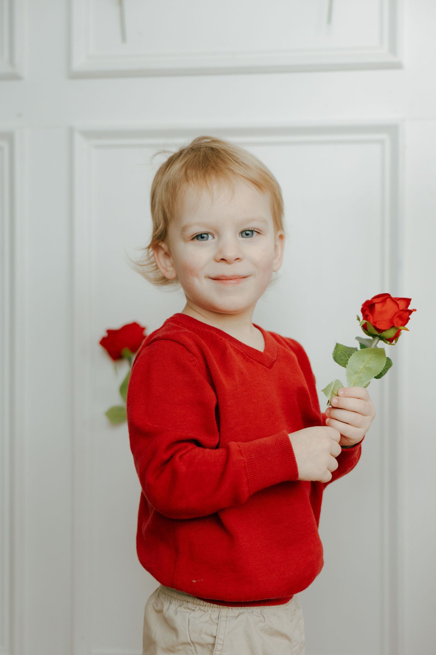 A series of four photos showing a small child in a red sweater holding a red rose against a white wall.