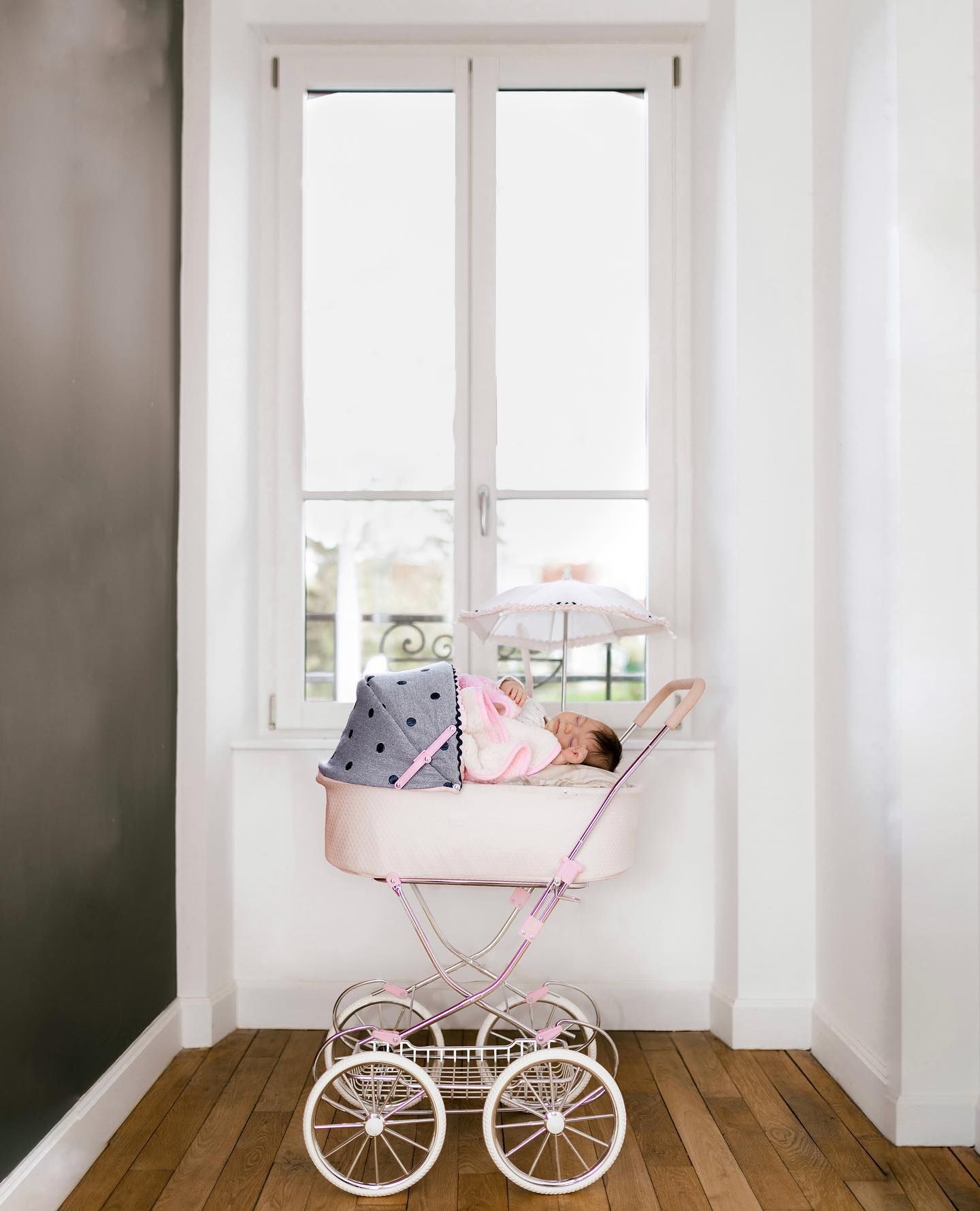 new born portrait photography session in the Garden Route
