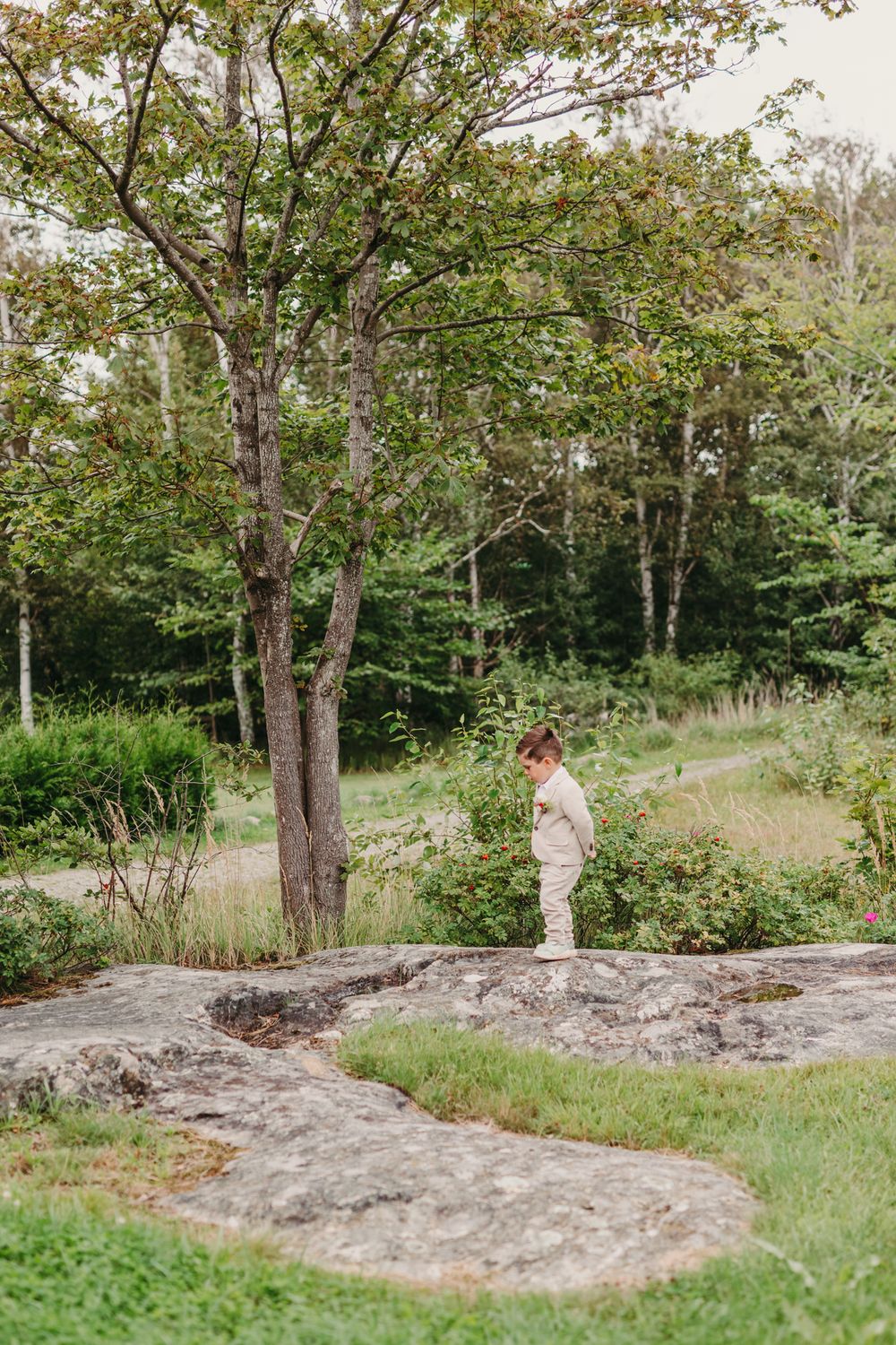 A winding stone path leads through a lush green wooded area on a sunny summer day.