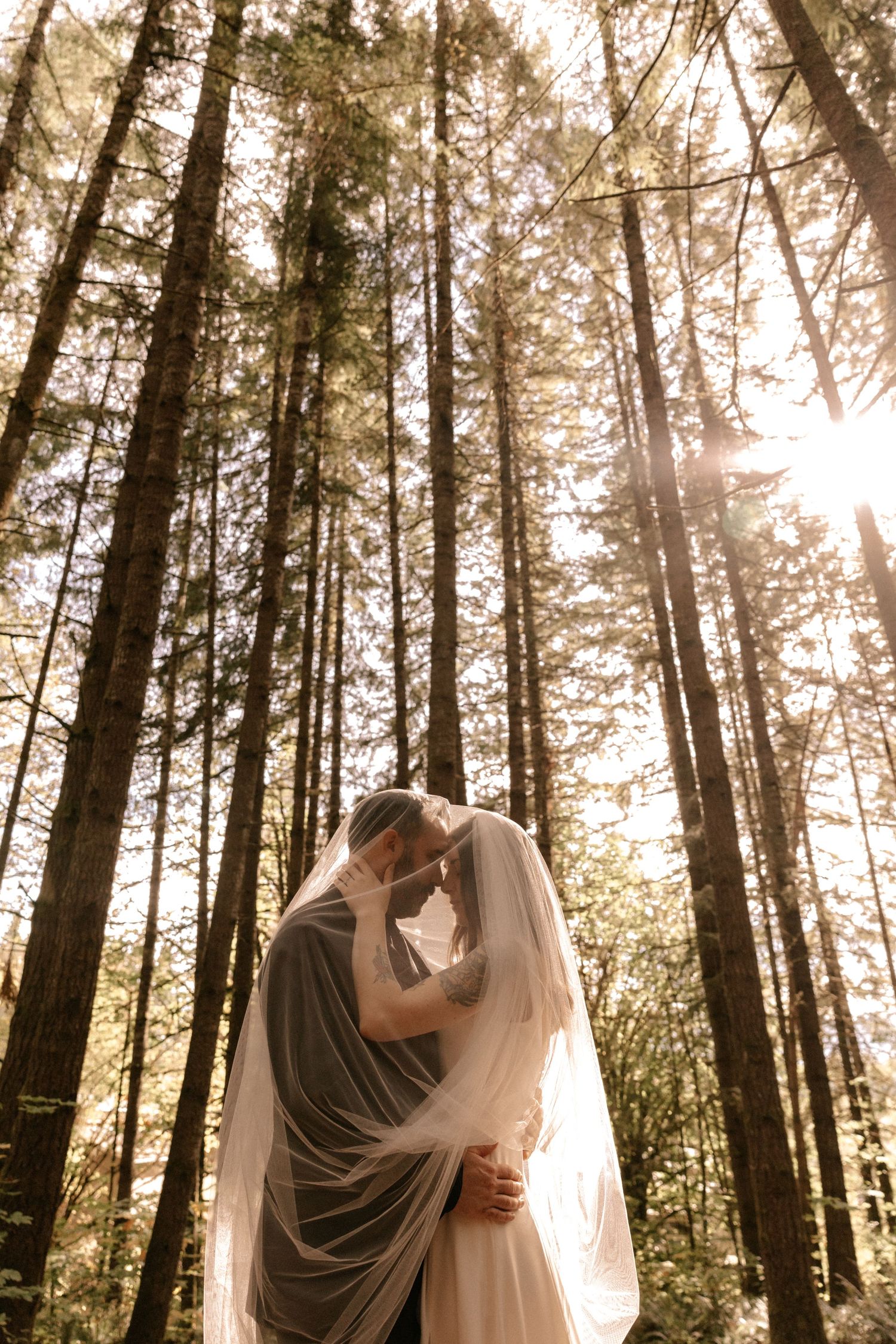 A couple embraces in a sunlit forest with tall trees and golden light filtering through the branches.