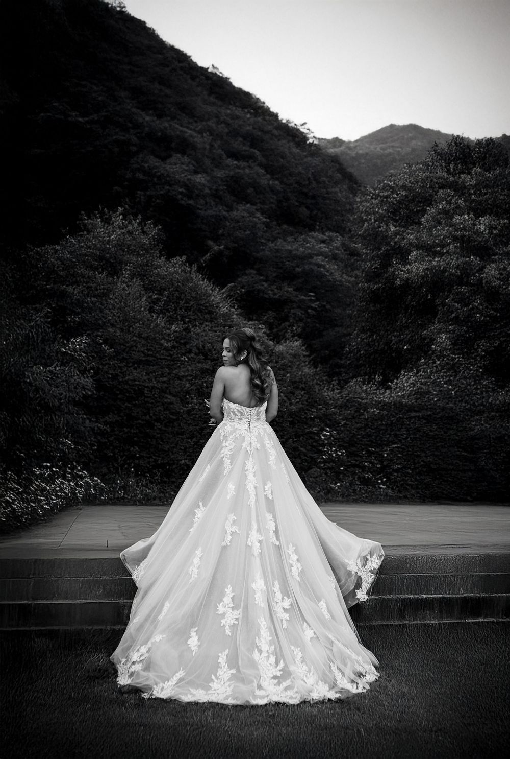 Dramatic black and white photo of a ballgown wedding dress with lace details against a mountain landscape.