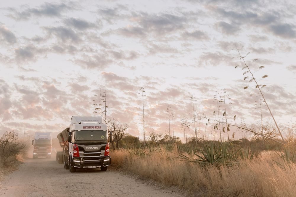 Scania semi-truck driving on dusty rural road surrounded by tall grass at sunset.
