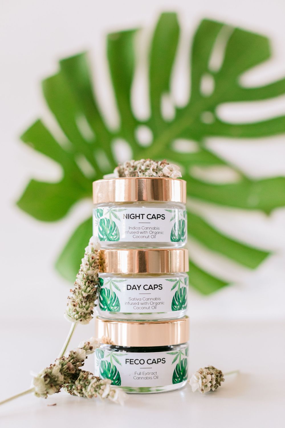 Three stacked jars of cannabis capsules labeled Night Caps, Day Caps, and FECO Caps with a monstera leaf.