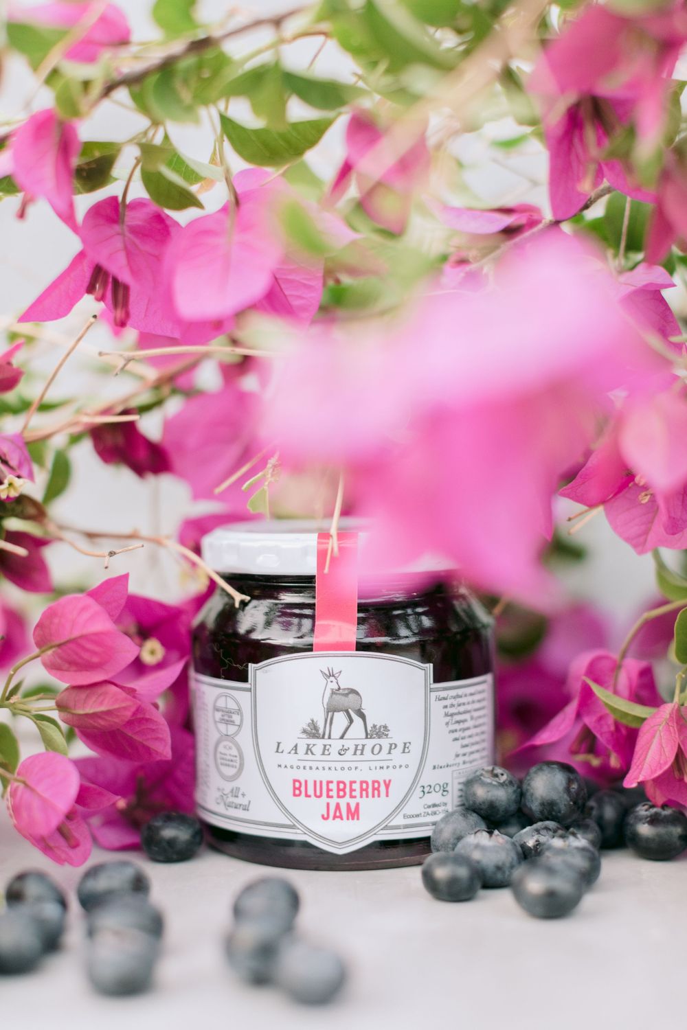 Lake & Hope blueberry jam jar with fresh blueberries framed by pink bougainvillea.