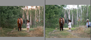 Clase online Lightroom Evolution
