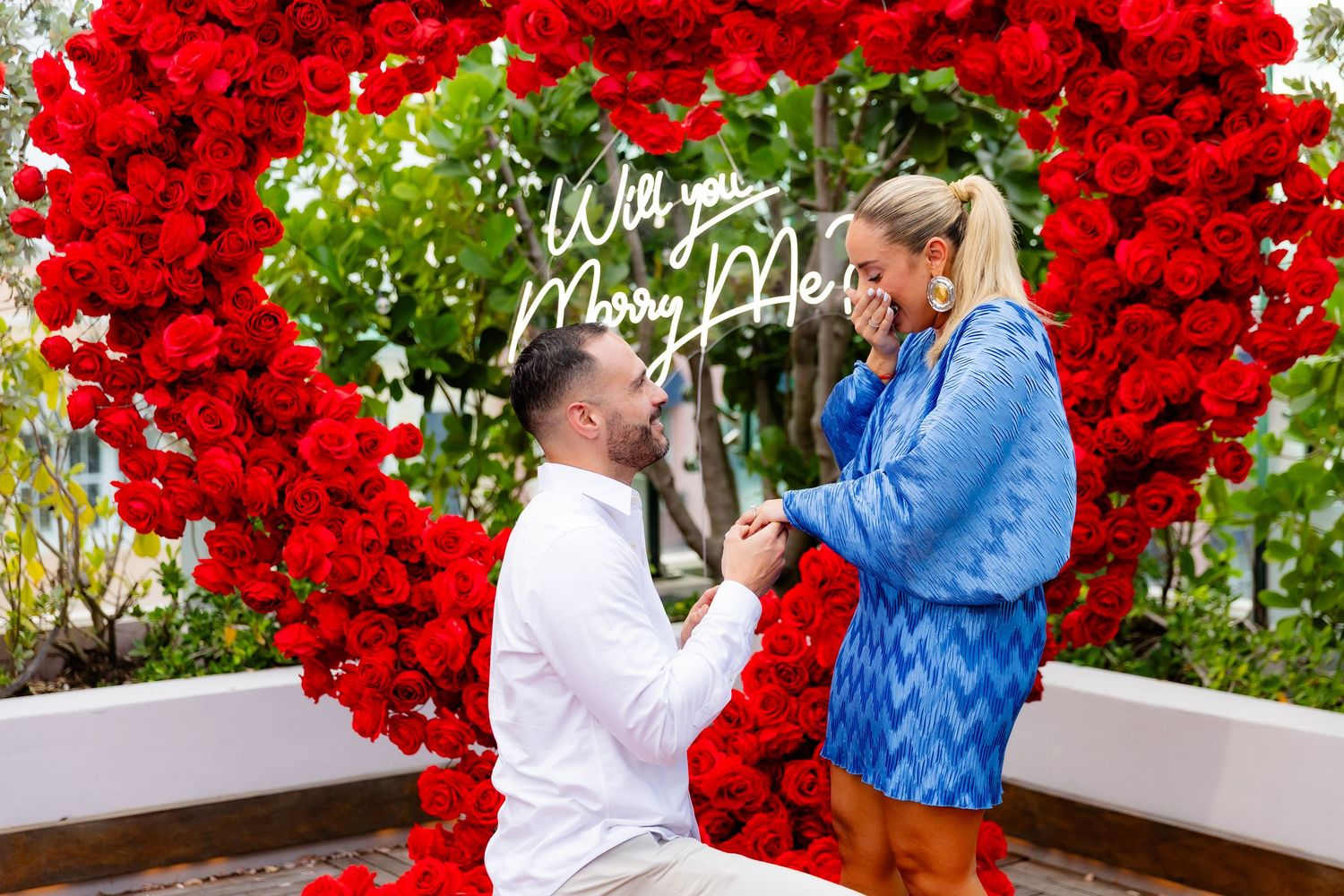 A marriage proposal scene with a couple by vibrant red flowers at an outdoor garden location.