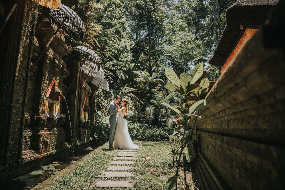 Sunlit garden pathway lined with tropical plants and trees.