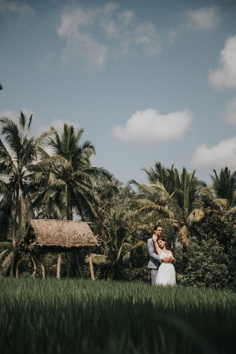Tropical wedding scene with palm trees and rice fields under blue sky.