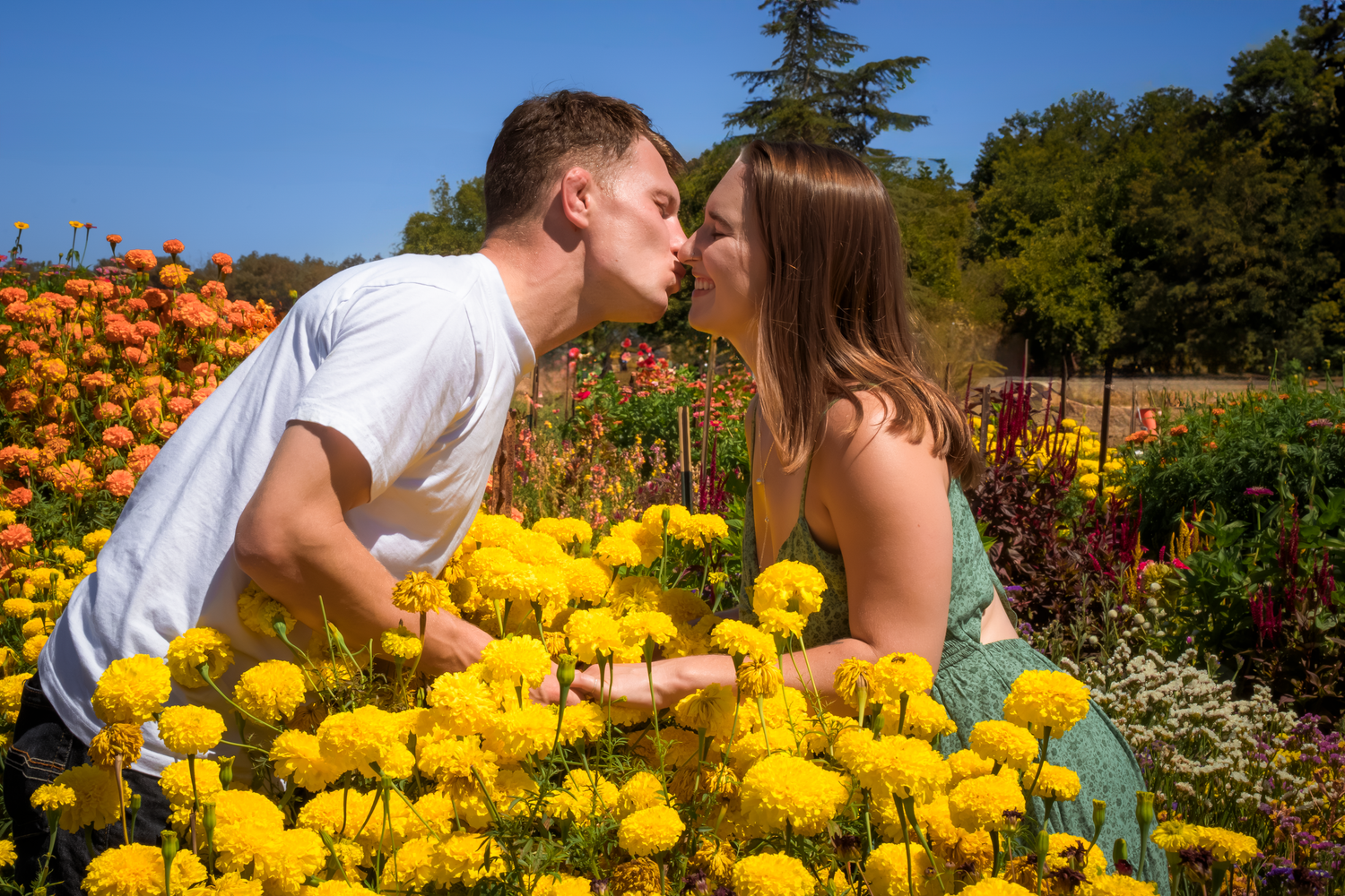 Two people share an intimate moment among bright yellow flowers in a sunny garden.
