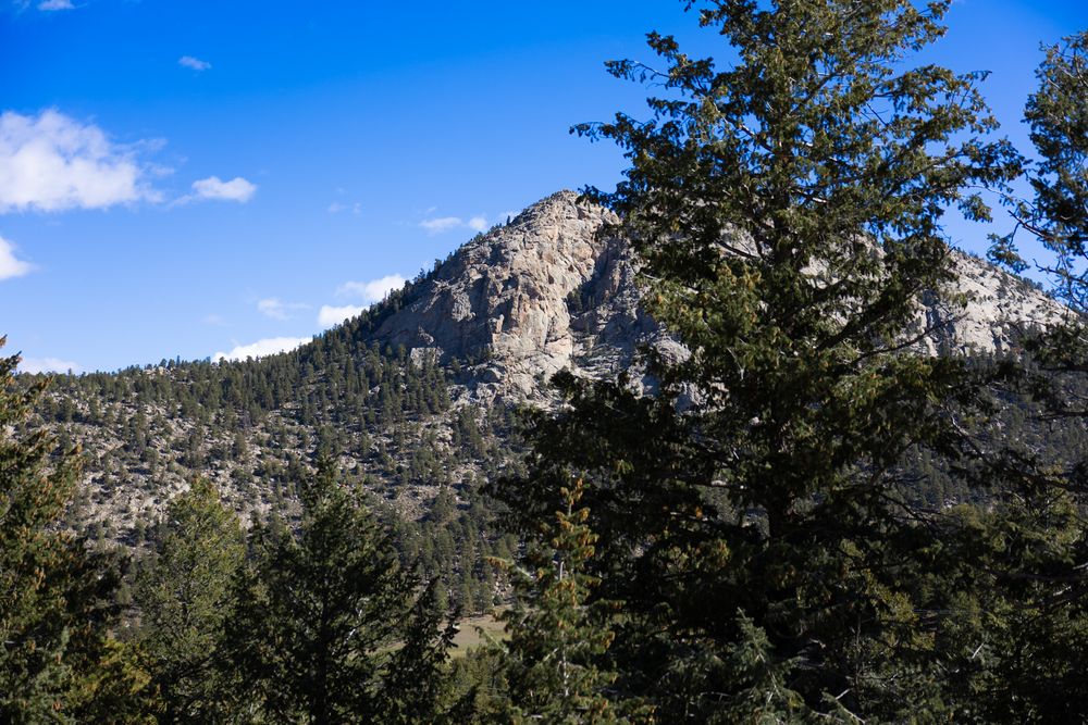 Pine-covered mountain slopes rise against a bright blue sky with white clouds.