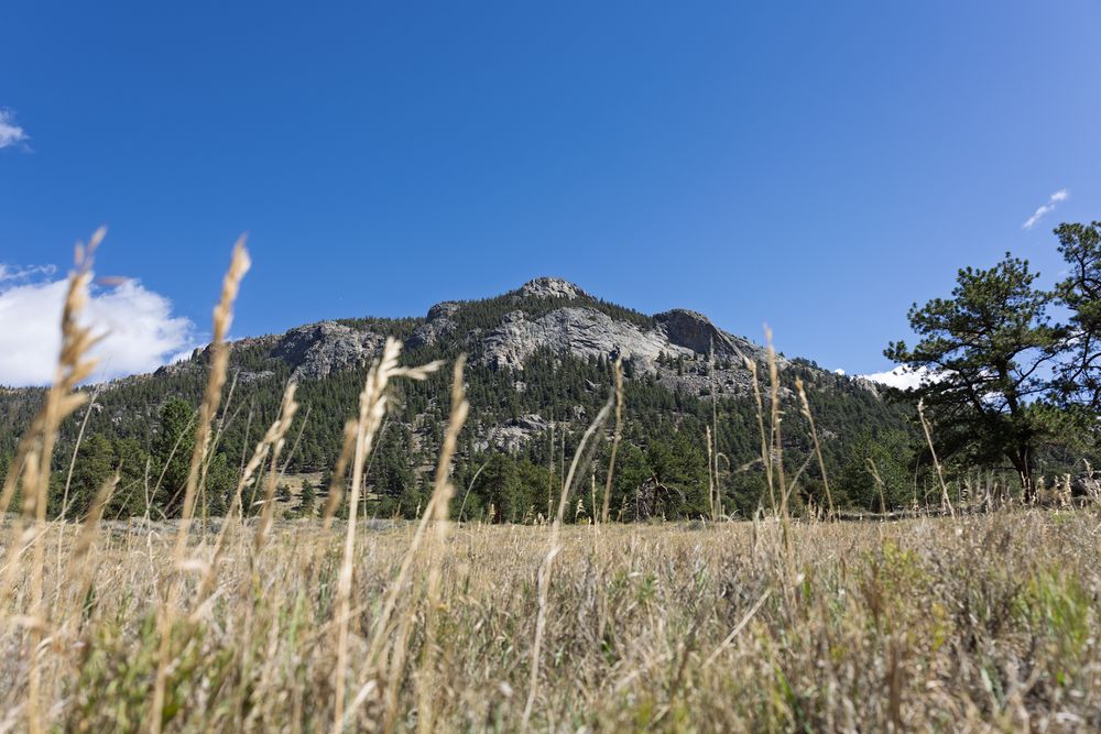 Rocky mountain peak rises against clear blue sky with tall grass in foreground.