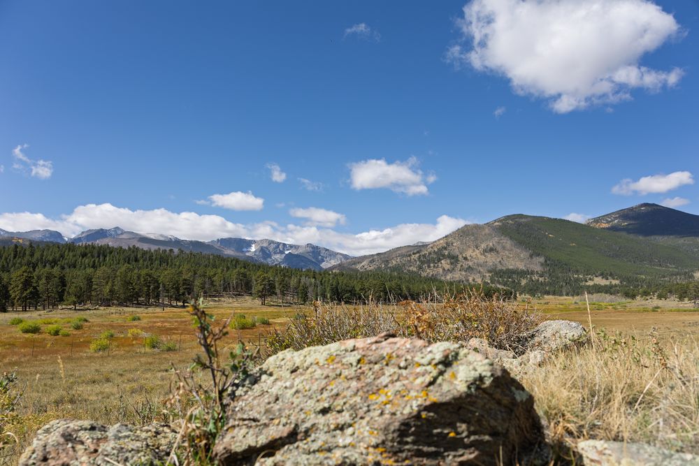 Mountain landscape with rocky outcrops and evergreen forest under partly cloudy skies.