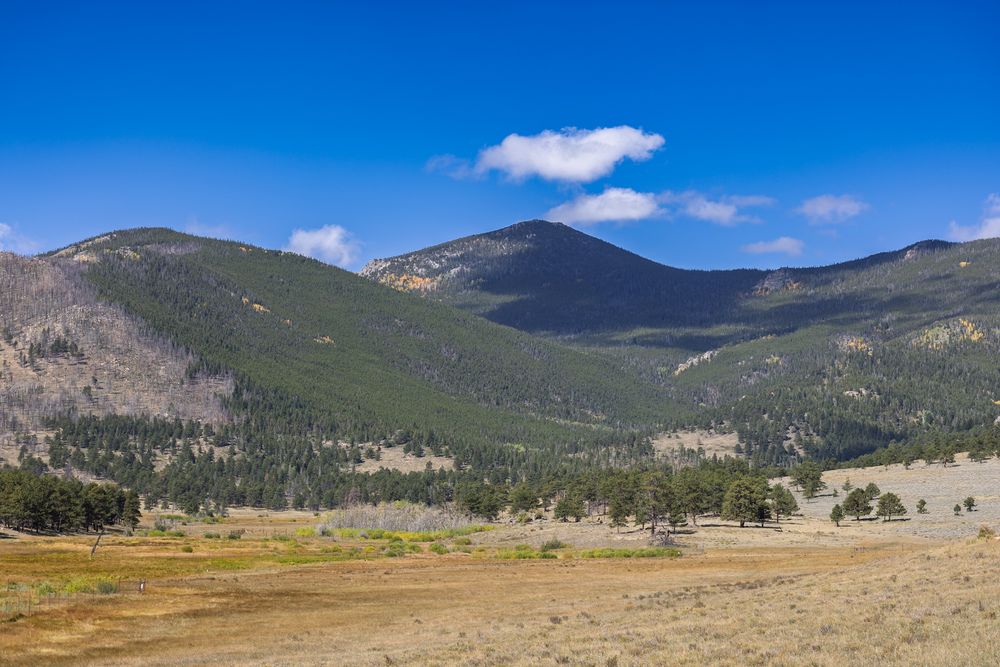 Rolling mountain landscape with evergreen forests and open meadows under bright blue sky.