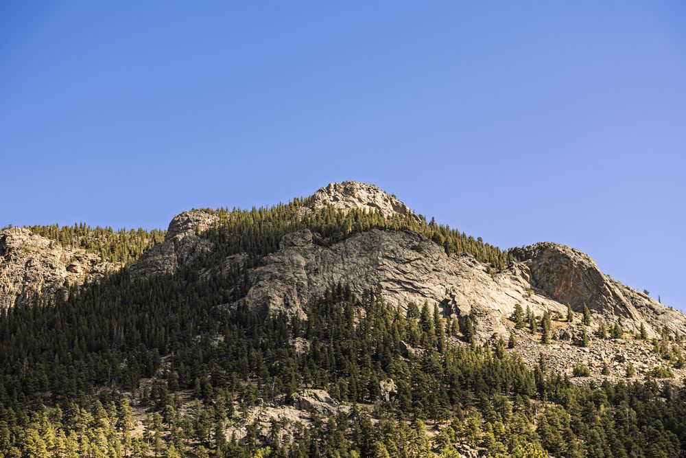 Rugged rocky mountain peak covered in pine trees against bright blue sky.