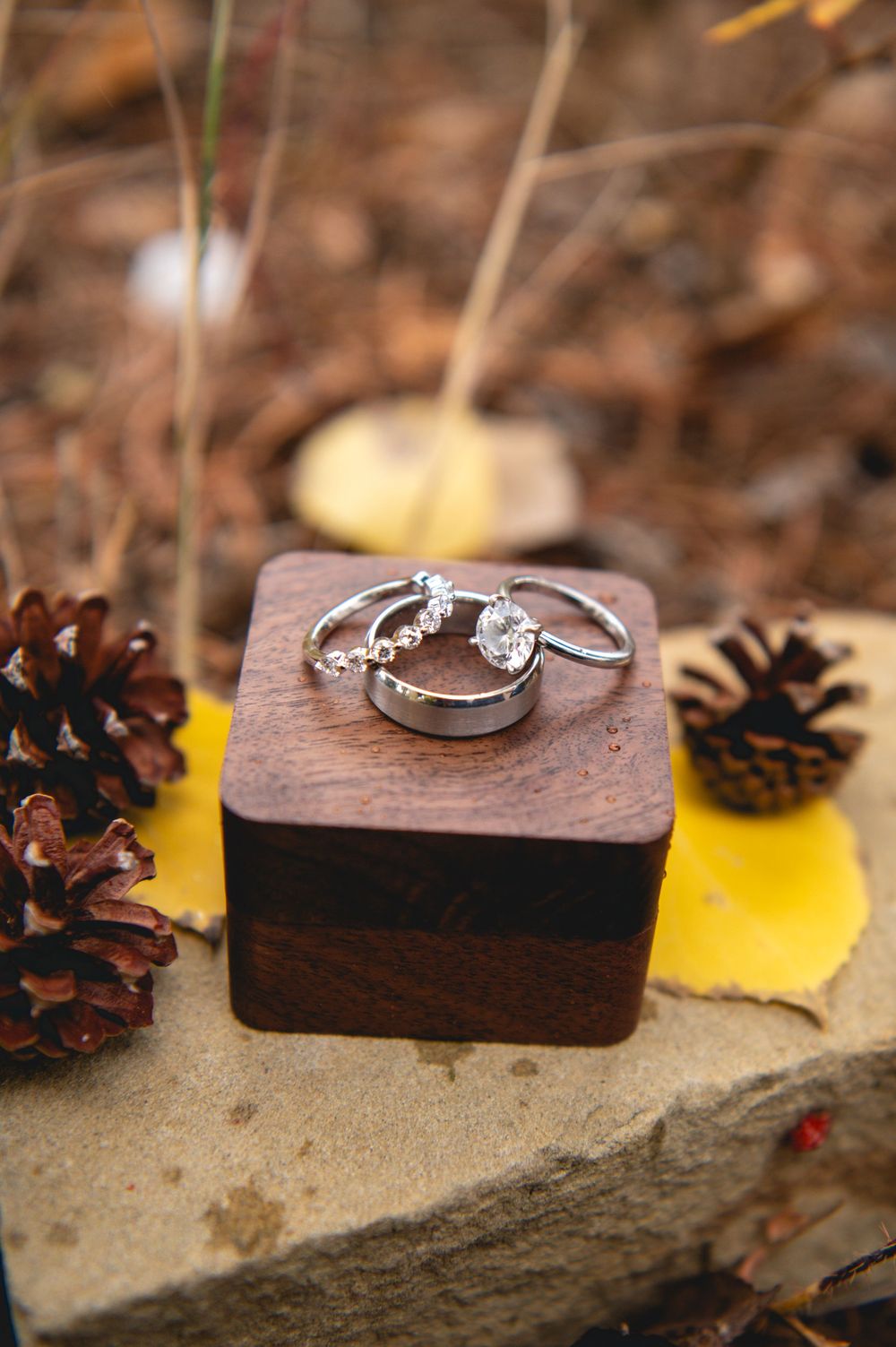 Diamond engagement ring and wedding band displayed on dark wood with scattered pine cones in a rustic setting.