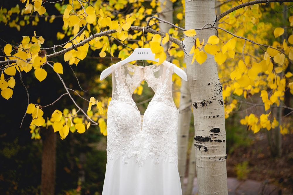 A sleeveless white lace wedding dress hangs against white birch trees with vibrant yellow autumn leaves.