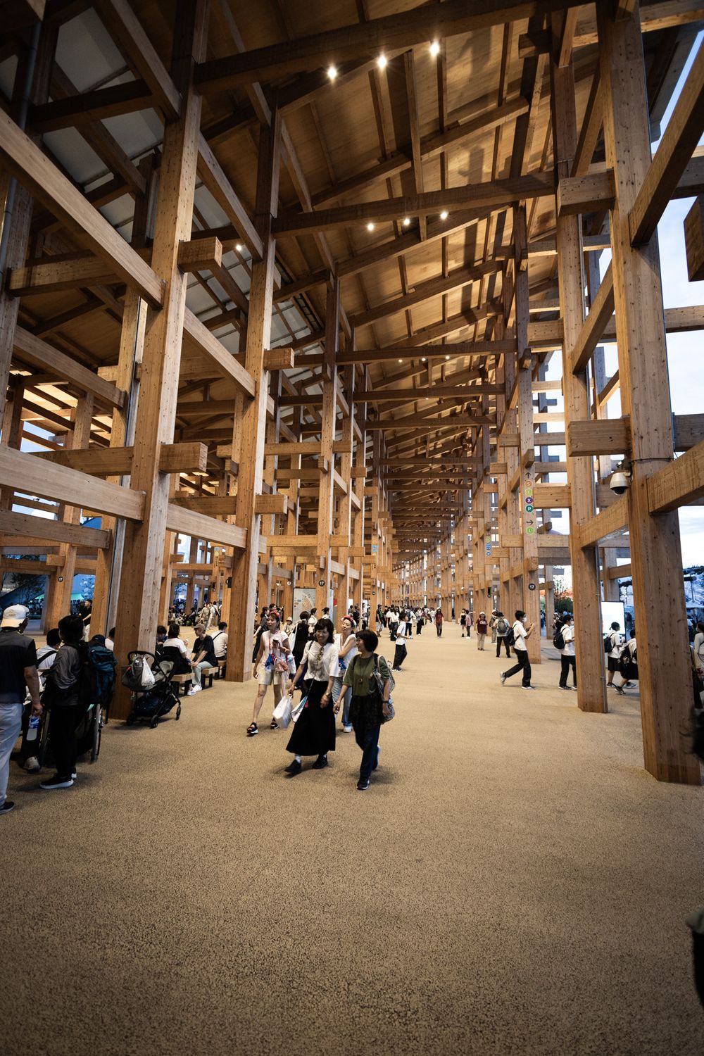 Interior of wooden ring, Expo 2025