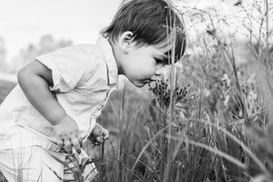 Black and white photo series of a child exploring tall grass and wildflowers outdoors.
