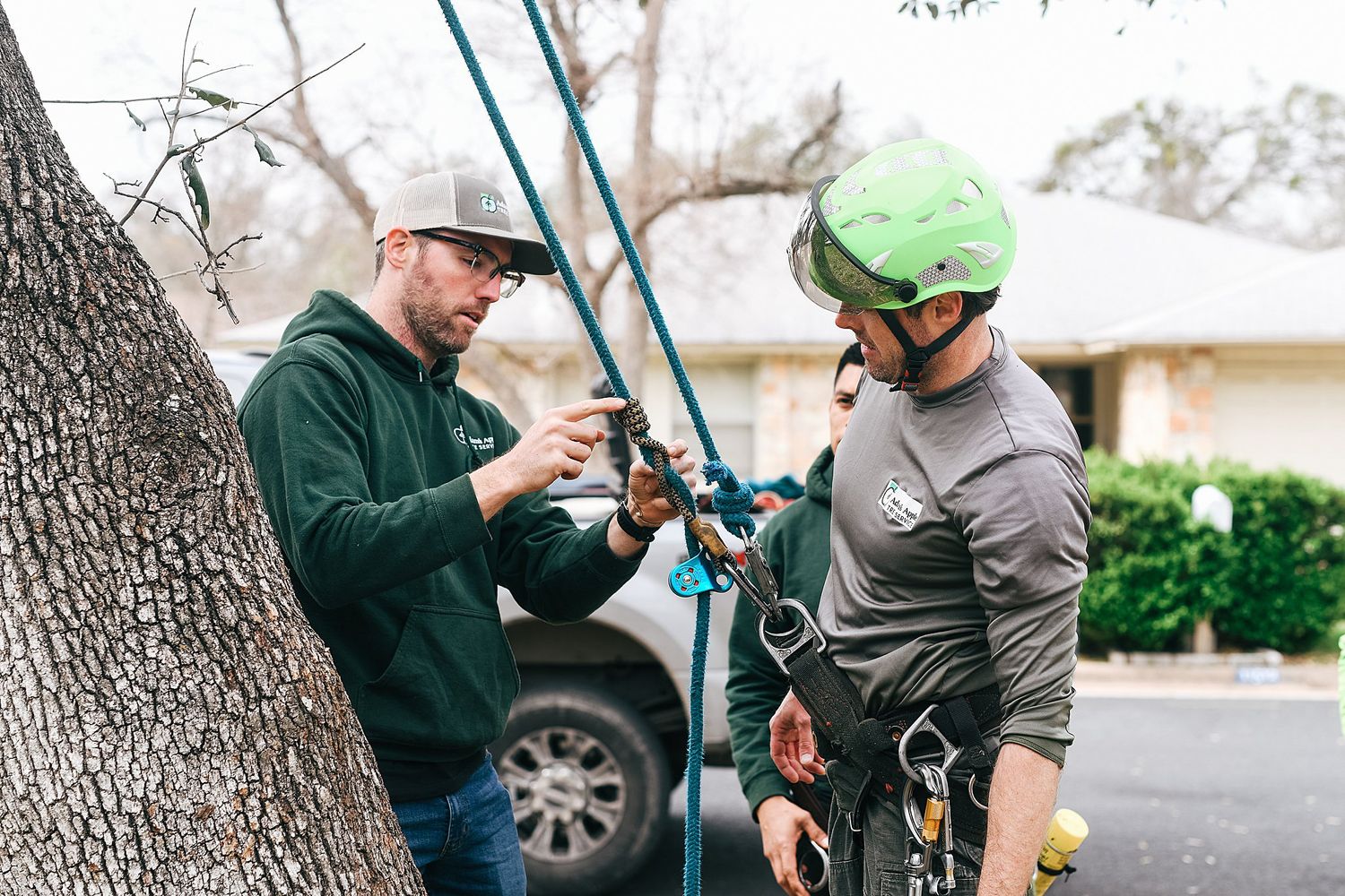 Two people setting up climbing gear near a tree trunk.