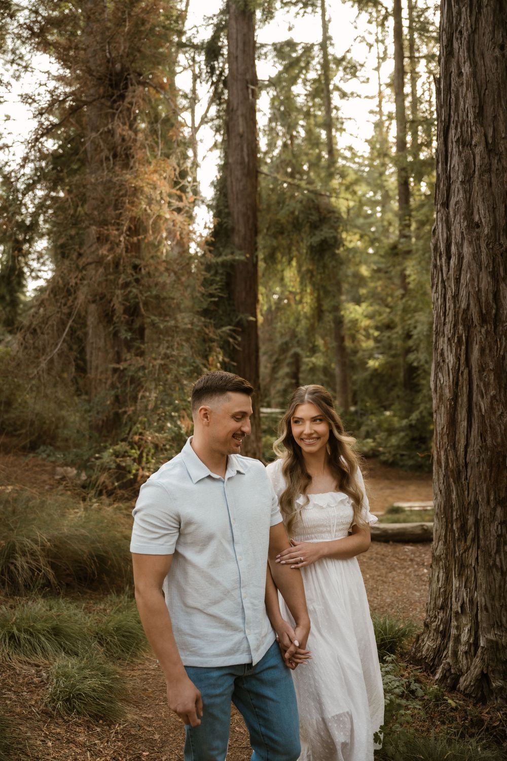 A couple walks together through a sunlit forest of tall pine trees.