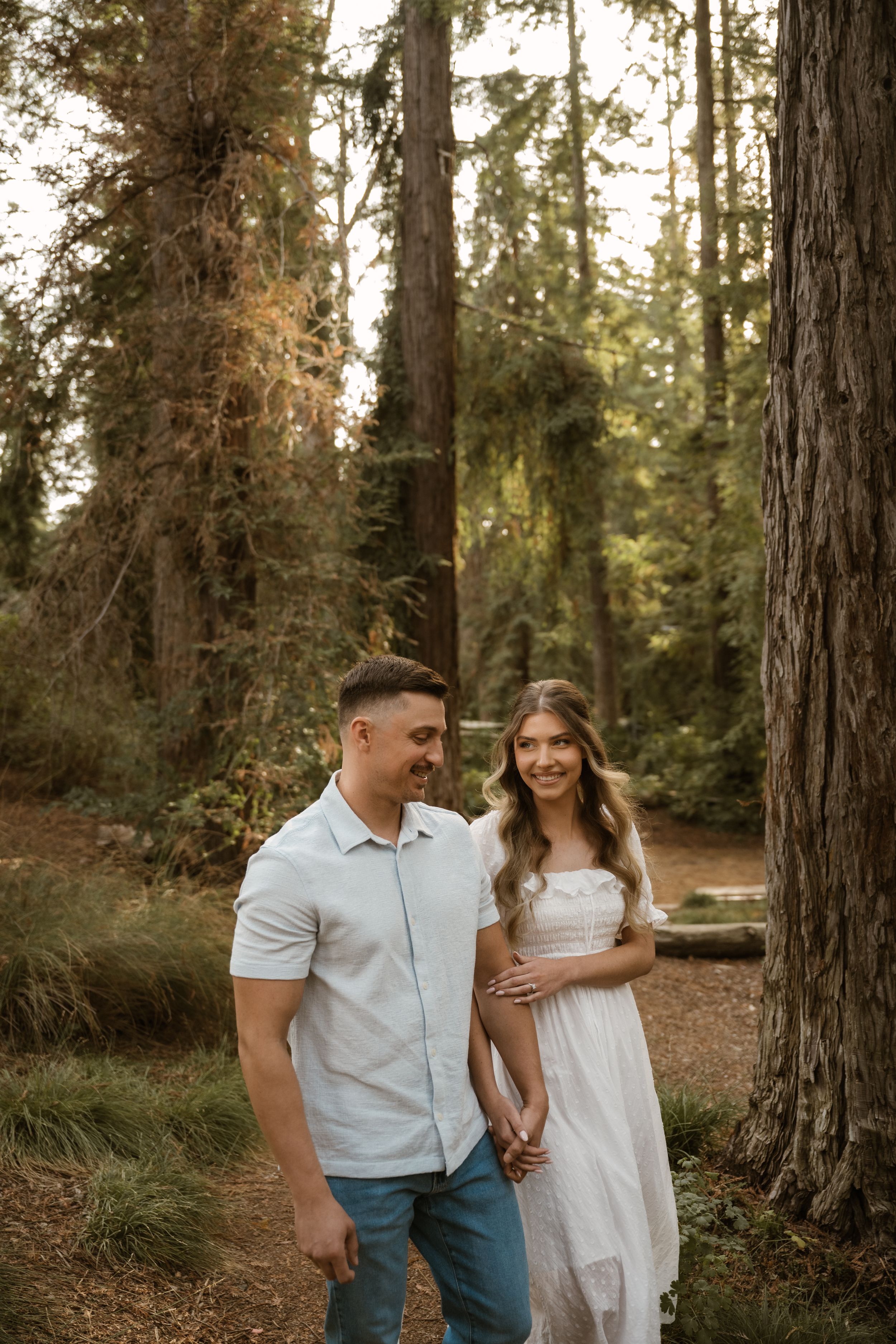 A couple walks together through a sunlit forest of tall pine trees.