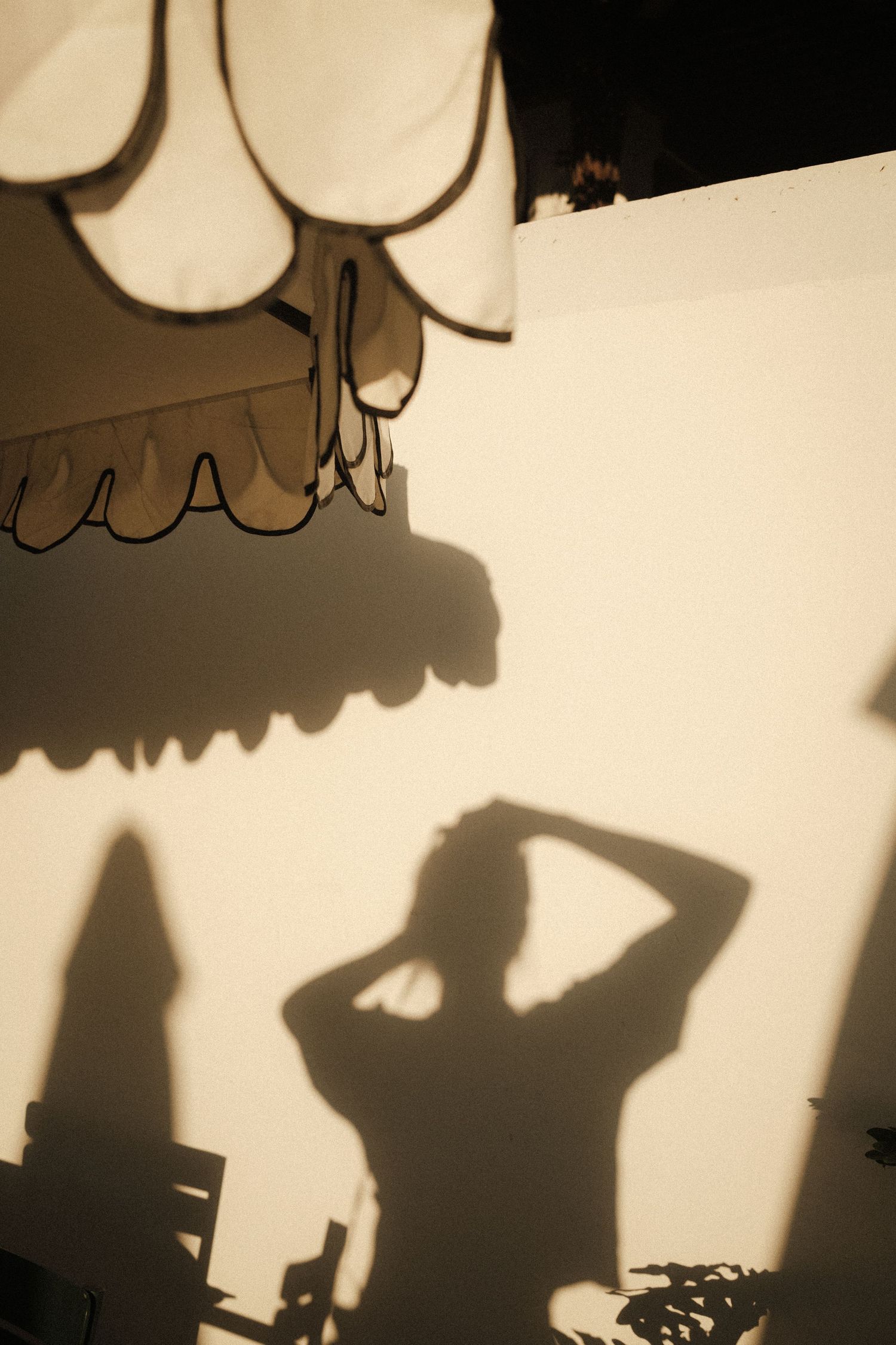 Artistic silhouettes cast dramatic shadows against a light colored wall.