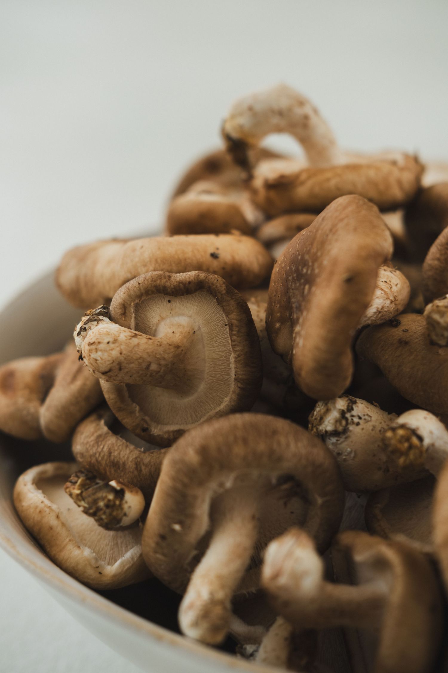 Fresh brown mushrooms piled on a white plate shown from different angles.