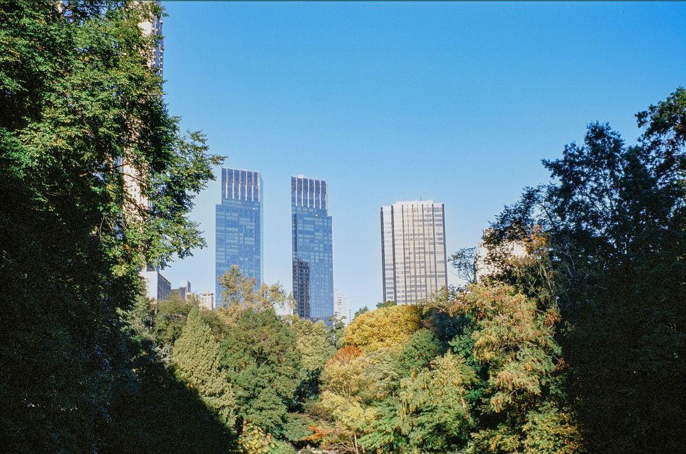Tall modern skyscrapers rise above autumn trees in Central Park with blue sky backdrop.