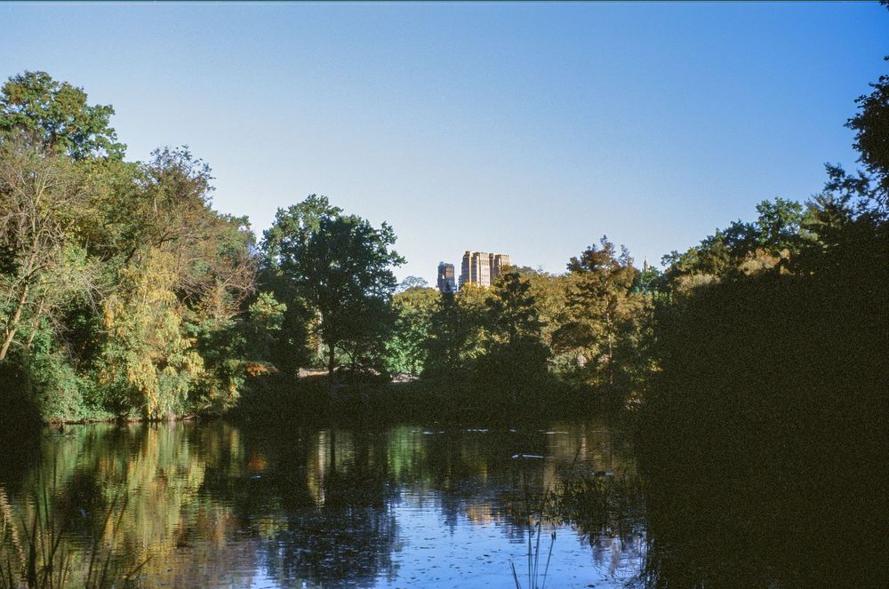 A tranquil lake in Central Park reflects surrounding trees and buildings on a clear day.