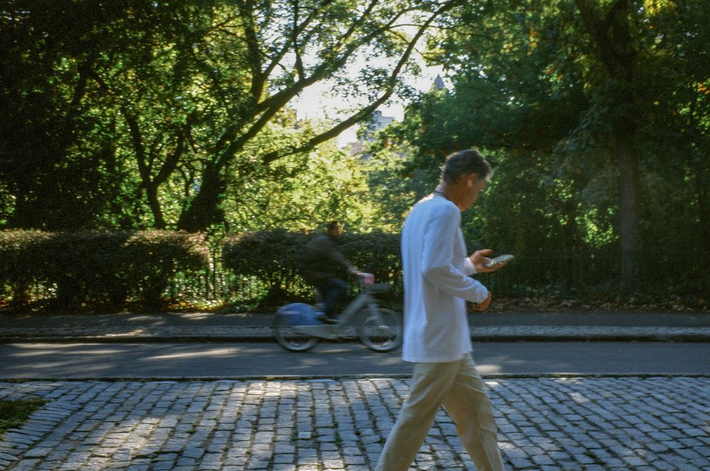 Early morning sunlight filters through trees along a cobblestone path in the park.
