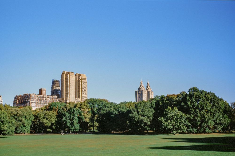 Historic buildings and towers visible across a green lawn in Central Park.