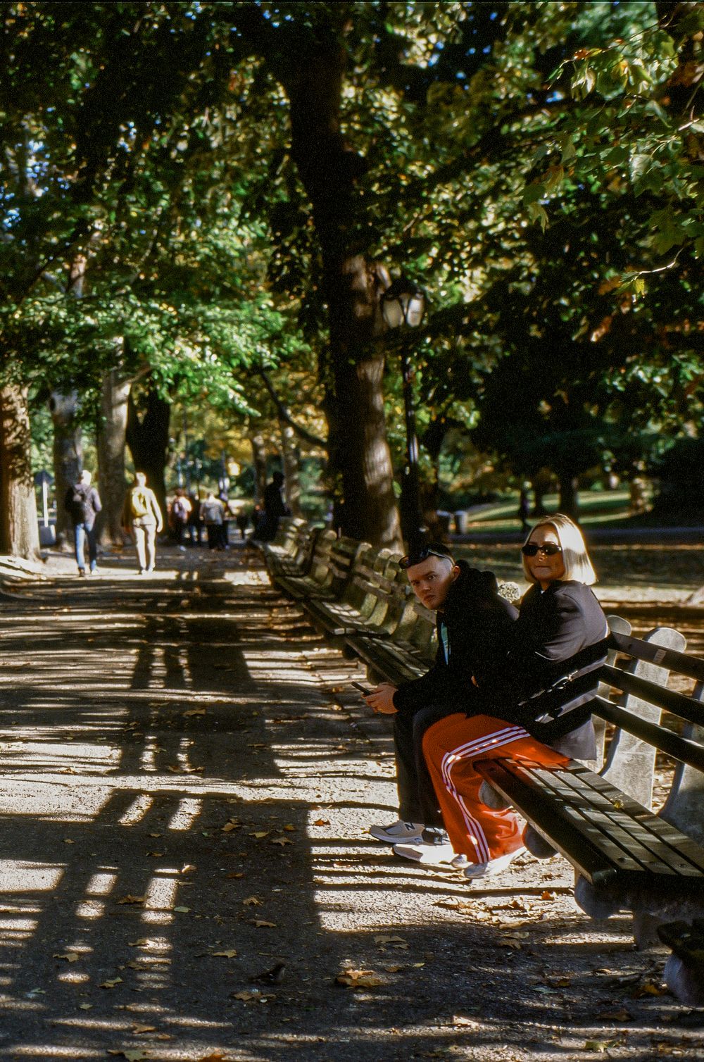 Park visitors relax on wooden benches along a tree-lined path on a sunny afternoon.