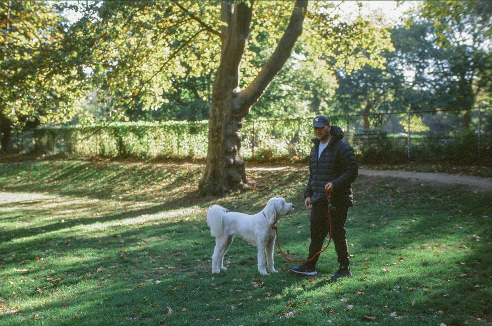 A white dog and companion enjoy an afternoon walk in a sunlit park setting.